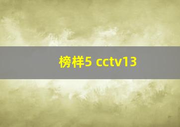 榜样5 cctv13